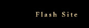 Enter Flash Site